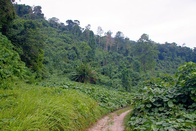 img00025.jpg