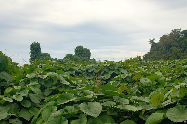 img00026.jpg