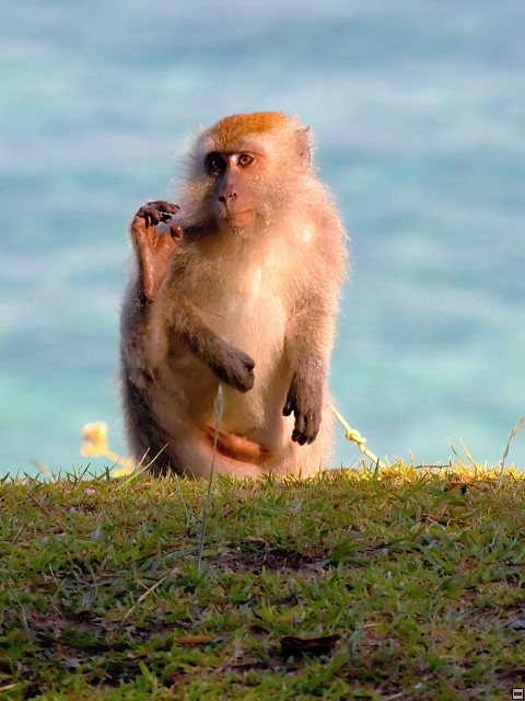 img00005.jpg