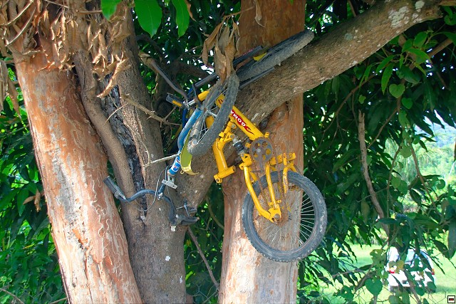 img00010.jpg