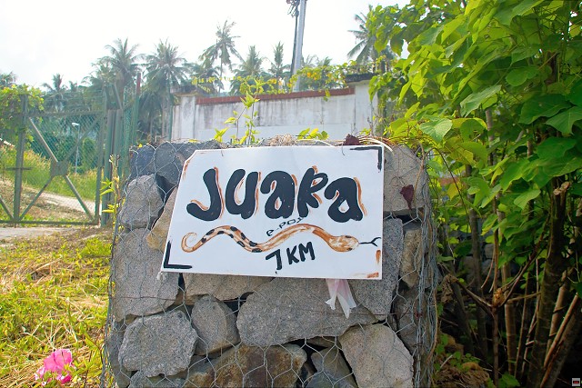img00011.jpg