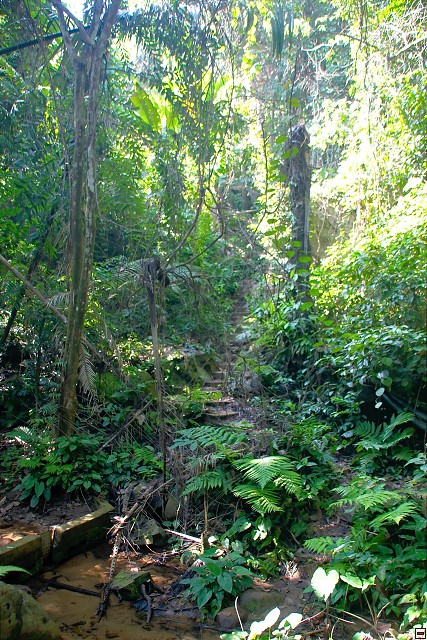 img00012.jpg