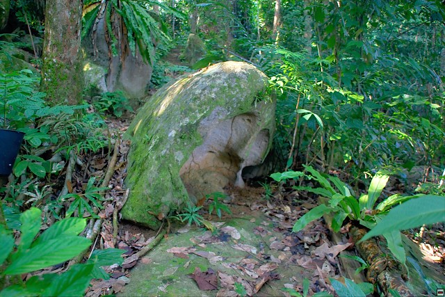 img00013.jpg