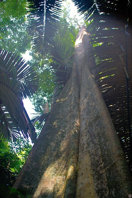 img00015.jpg