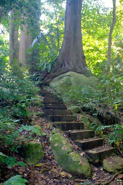 img00016.jpg
