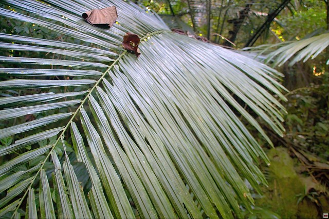 img00017.jpg