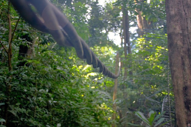 img00018.jpg