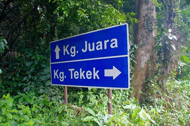 img00019.jpg