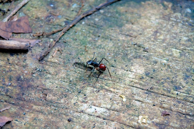 img00020.jpg