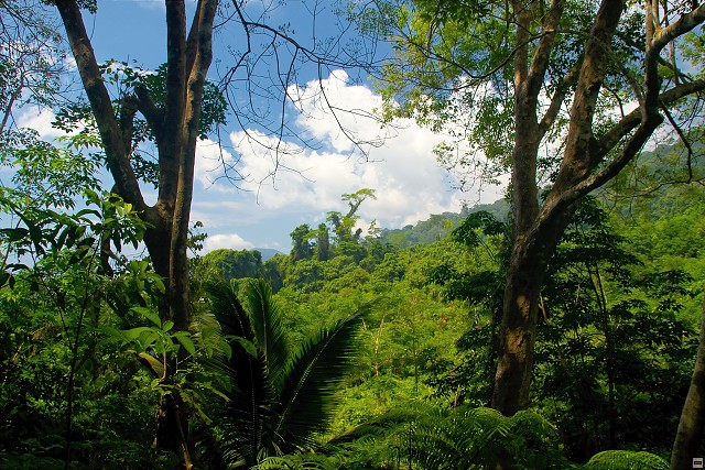 img00021.jpg