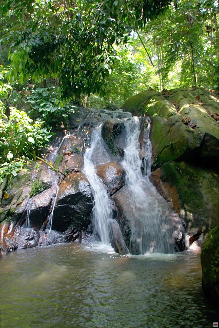 img00022.jpg