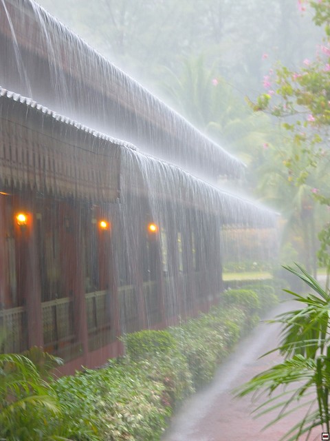 img00030.jpg