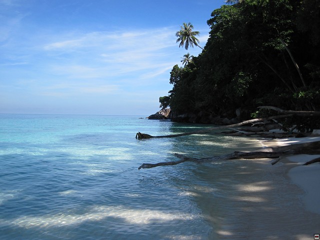 img00012.jpg