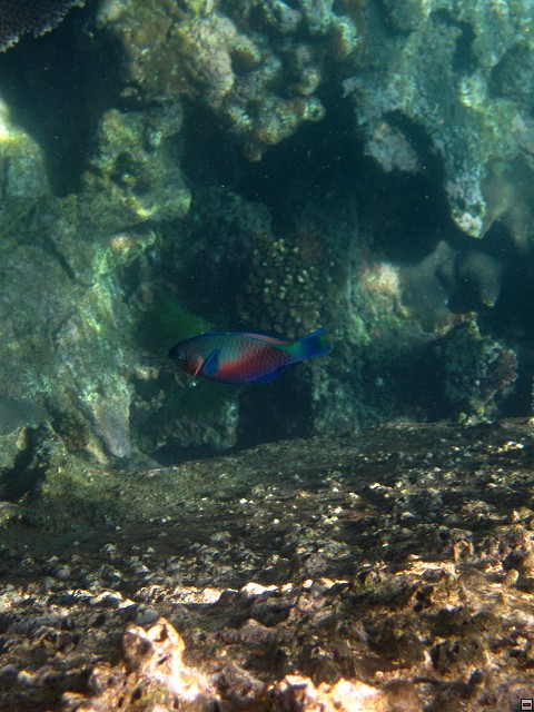 img00019.jpg