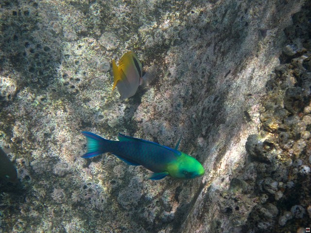 img00023.jpg