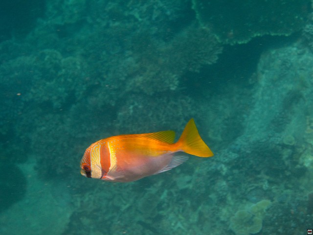 img00028.jpg
