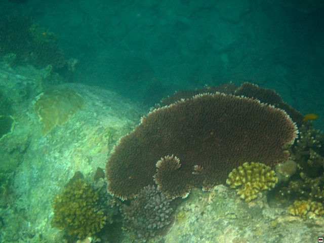 img00029.jpg