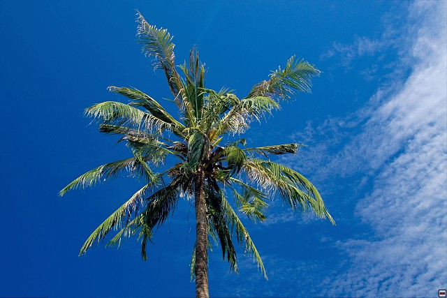 img00008.jpg