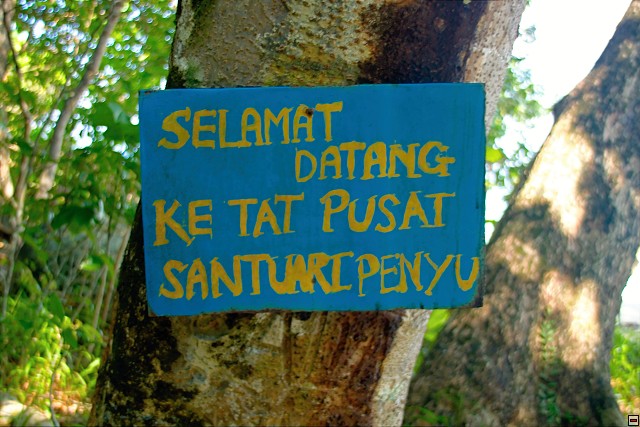 img00011.jpg