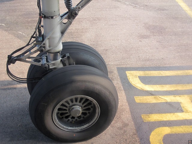 img00008.jpg