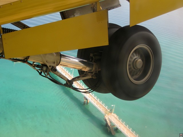 img00009.jpg