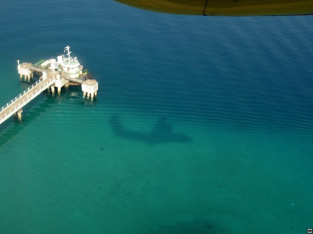 img00010.jpg