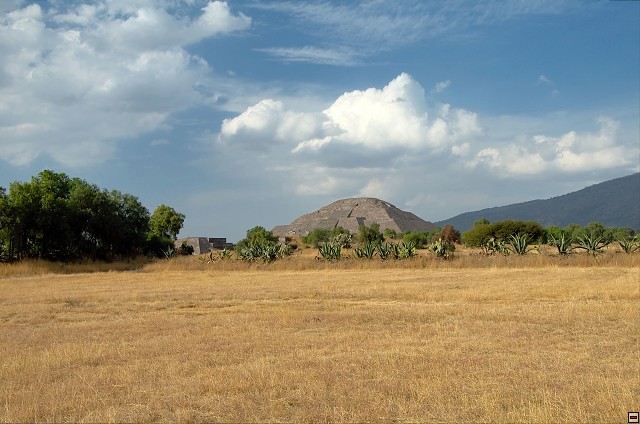 img00019.jpg