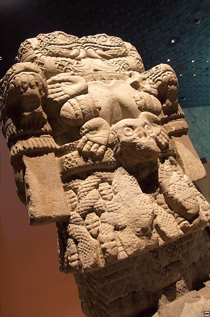 img00005.jpg
