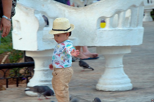 img00007.jpg