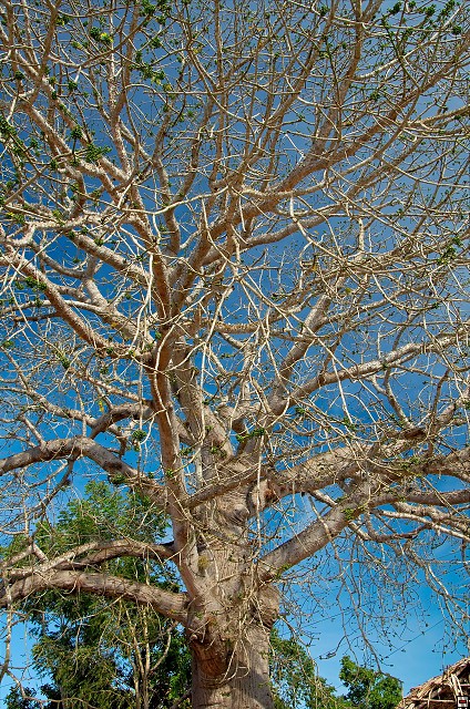 img00001.jpg