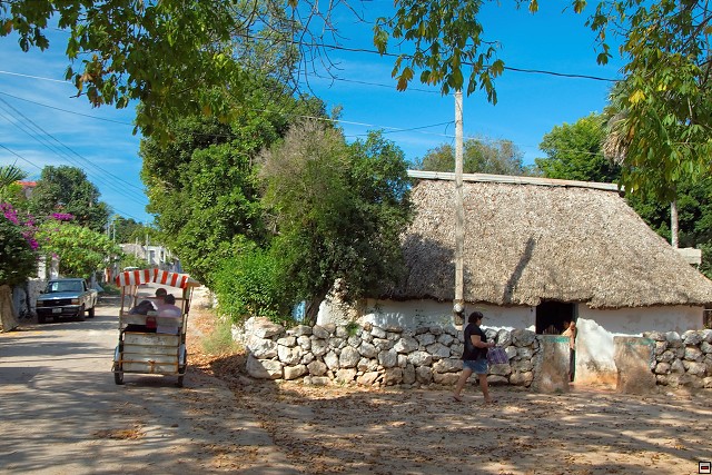 img00003.jpg