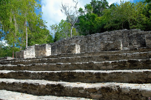 img00002.jpg