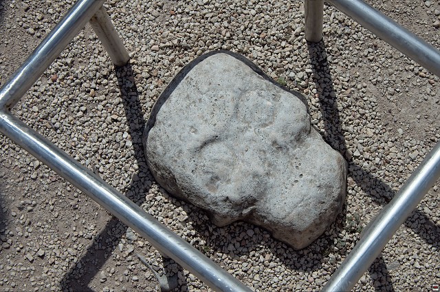 img00005.jpg