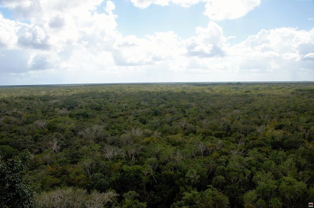 img00007.jpg