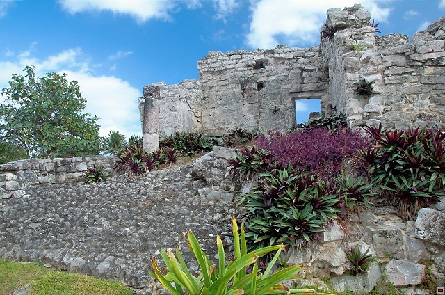 img00012.jpg