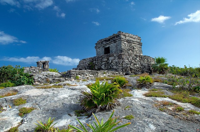 img00020.jpg
