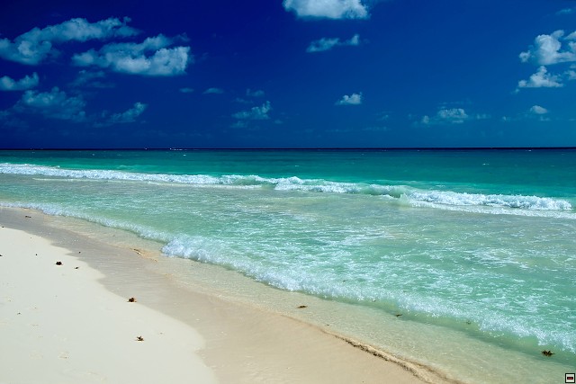 img00008.jpg