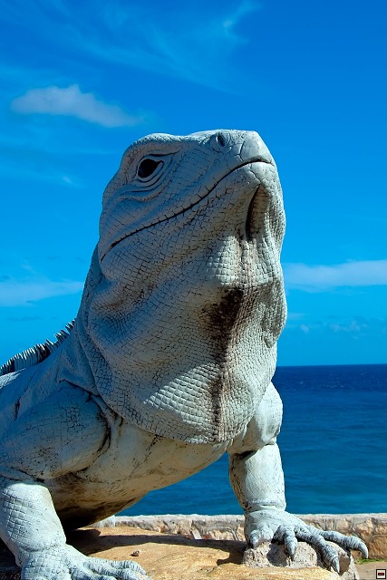 img00021.jpg