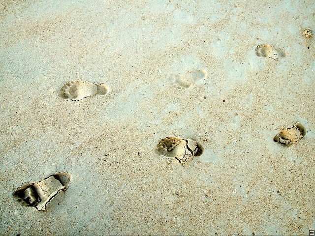 img00001.jpg