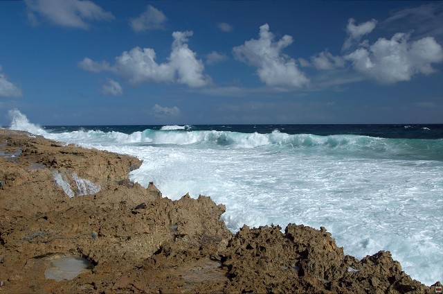 img00026.jpg