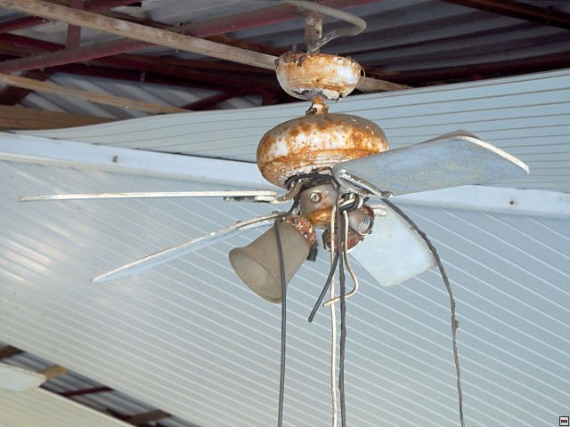 img00006.jpg