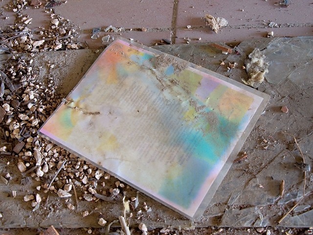 img00008.jpg