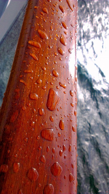 img00005.jpg