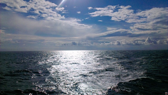 img00014.jpg