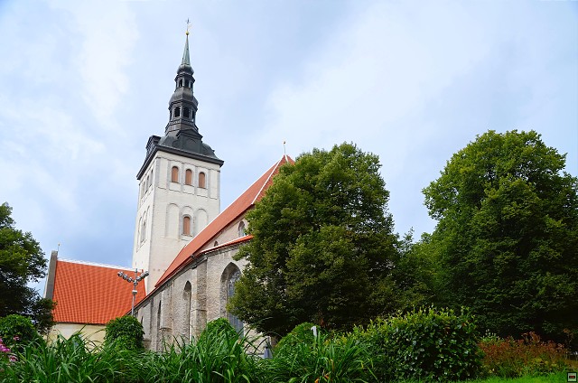 img00010.jpg