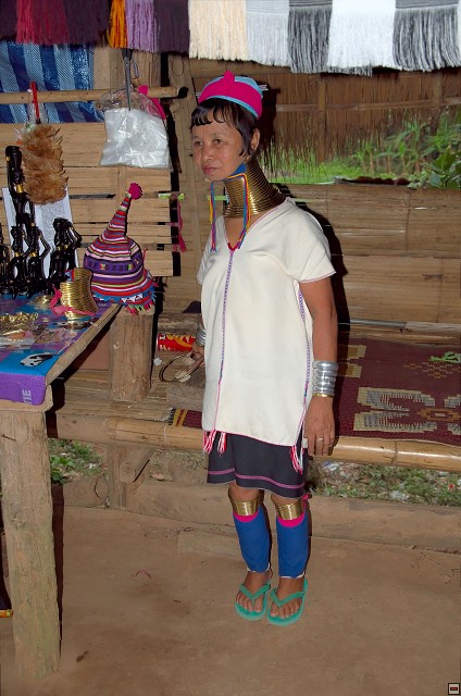 img00033.jpg