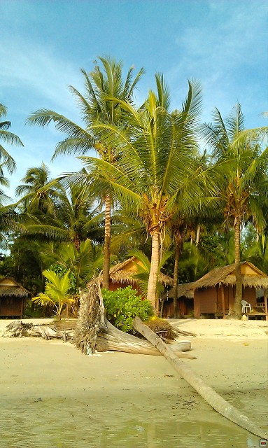 img00019.jpg