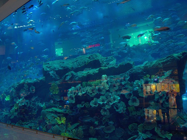 img00004.jpg