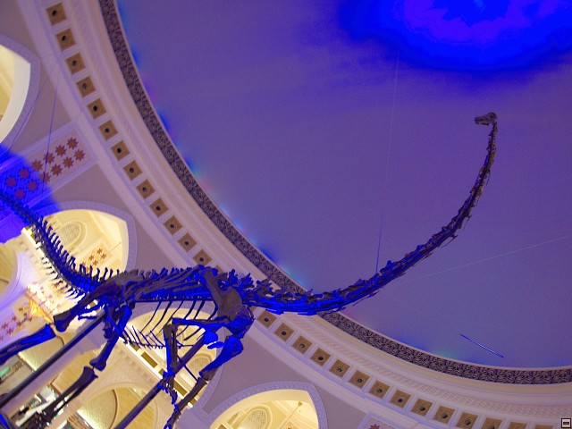img00018.jpg