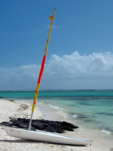 img00004.jpg
